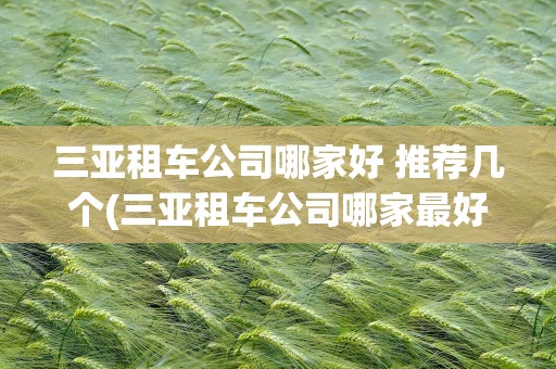 三亚租车公司哪家好 推荐几个(三亚租车公司哪家最好)