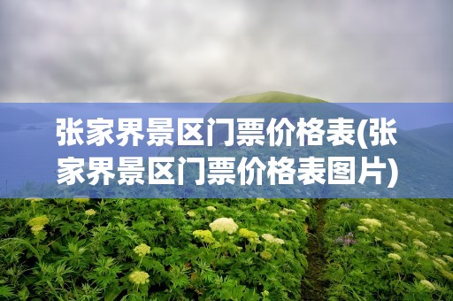 张家界景区门票价格表(张家界景区门票价格表图片)