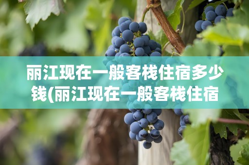 丽江现在一般客栈住宿多少钱(丽江现在一般客栈住宿多少钱一天)