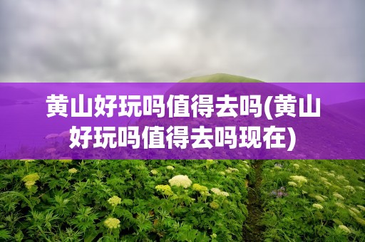 黄山好玩吗值得去吗(黄山好玩吗值得去吗现在)