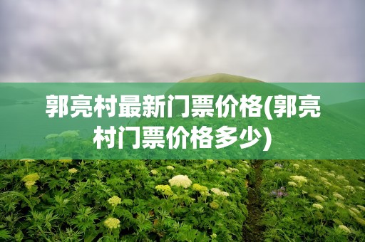 郭亮村最新门票价格(郭亮村门票价格多少)