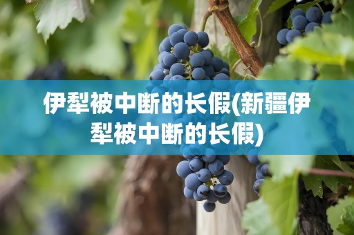 伊犁被中断的长假(新疆伊犁被中断的长假)