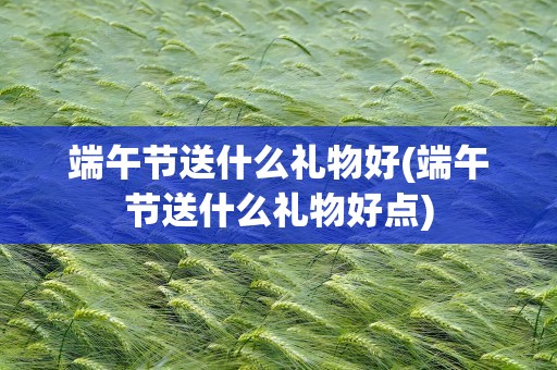 端午节送什么礼物好(端午节送什么礼物好点)