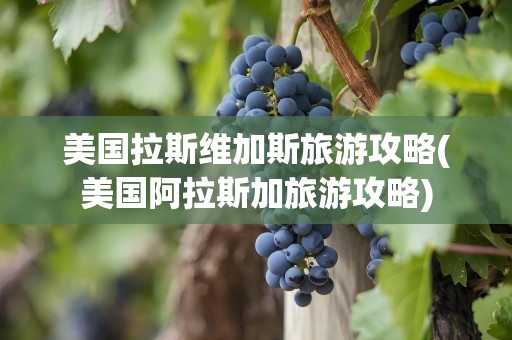 美国拉斯维加斯旅游攻略(美国阿拉斯加旅游攻略)