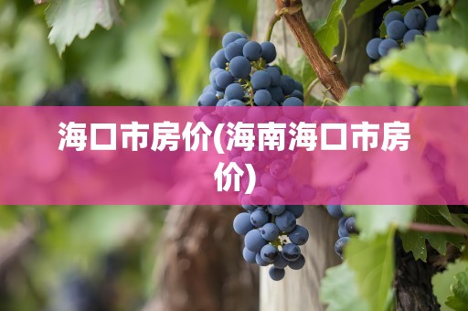 海口市房价(海南海口市房价)