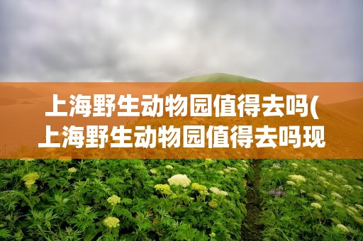 上海野生动物园值得去吗(上海野生动物园值得去吗现在)