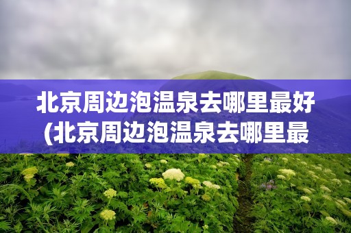 北京周边泡温泉去哪里最好(北京周边泡温泉去哪里最好玩)