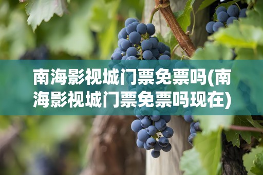 南海影视城门票免票吗(南海影视城门票免票吗现在)
