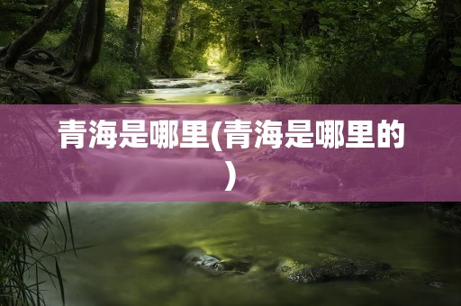 青海是哪里(青海是哪里的)