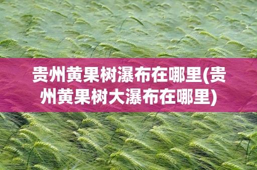 贵州黄果树瀑布在哪里(贵州黄果树大瀑布在哪里)