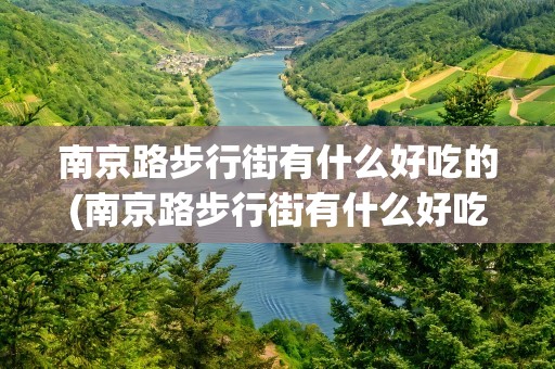 南京路步行街有什么好吃的(南京路步行街有什么好吃的店)