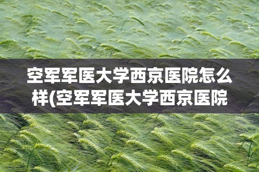 空军军医大学西京医院怎么样(空军军医大学西京医院怎么样啊)