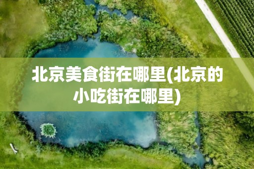 北京美食街在哪里(北京的小吃街在哪里)
