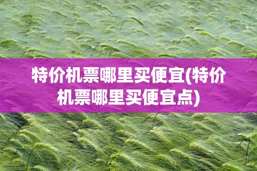 特价机票哪里买便宜(特价机票哪里买便宜点)