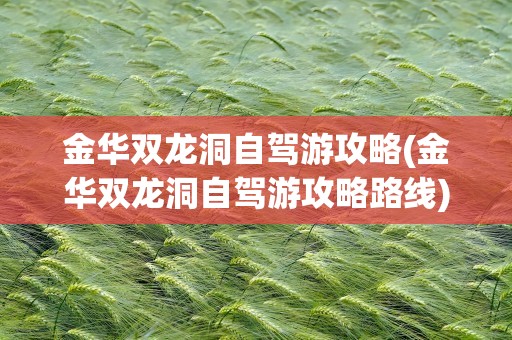 金华双龙洞自驾游攻略(金华双龙洞自驾游攻略路线)