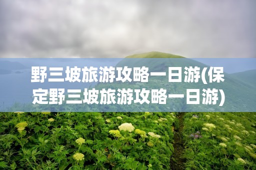 野三坡旅游攻略一日游(保定野三坡旅游攻略一日游)