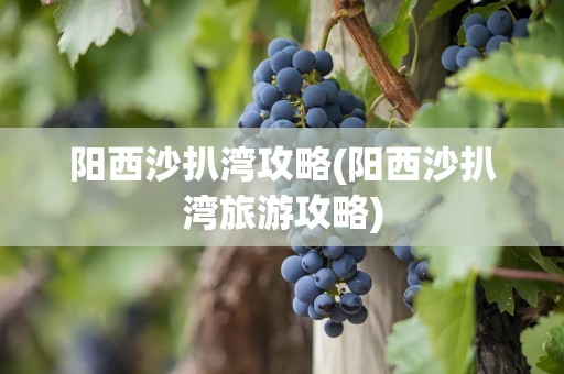 阳西沙扒湾攻略(阳西沙扒湾旅游攻略)