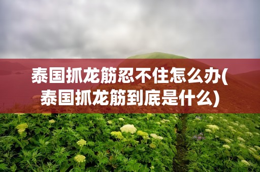 泰国抓龙筋忍不住怎么办(泰国抓龙筋到底是什么)