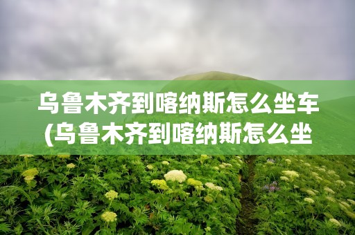 乌鲁木齐到喀纳斯怎么坐车(乌鲁木齐到喀纳斯怎么坐火车)
