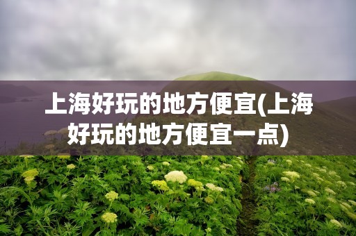上海好玩的地方便宜(上海好玩的地方便宜一点)