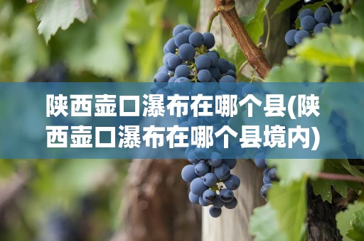 陕西壶口瀑布在哪个县(陕西壶口瀑布在哪个县境内)