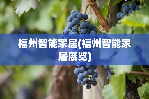 福州智能家居(福州智能家居展览)