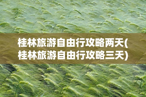 桂林旅游自由行攻略两天(桂林旅游自由行攻略三天)