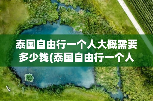 泰国自由行一个人大概需要多少钱(泰国自由行一个人大概需要多少钱费用)
