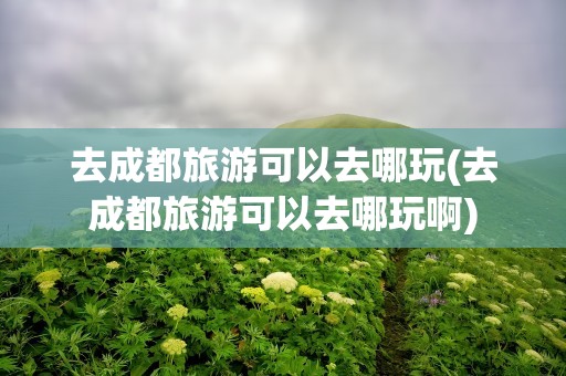去成都旅游可以去哪玩(去成都旅游可以去哪玩啊)