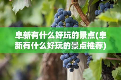 阜新有什么好玩的景点(阜新有什么好玩的景点推荐)