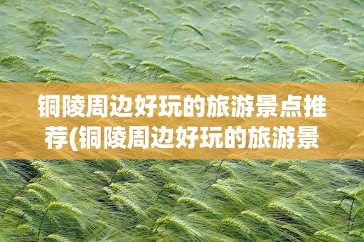 铜陵周边好玩的旅游景点推荐(铜陵周边好玩的旅游景点推荐一日游)