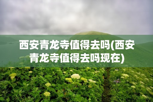 西安青龙寺值得去吗(西安青龙寺值得去吗现在)