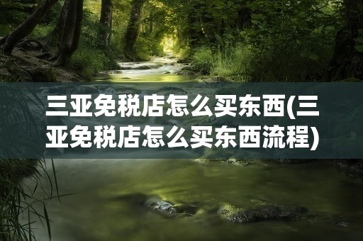 三亚免税店怎么买东西(三亚免税店怎么买东西流程)