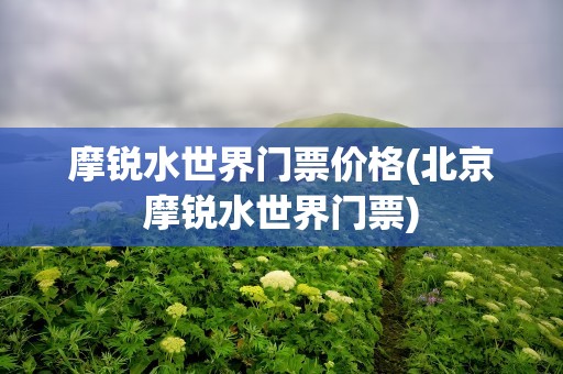 摩锐水世界门票价格(北京摩锐水世界门票)