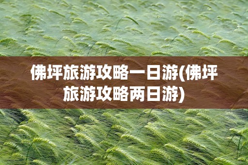 佛坪旅游攻略一日游(佛坪旅游攻略两日游)