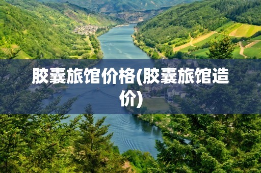 胶囊旅馆价格(胶囊旅馆造价)