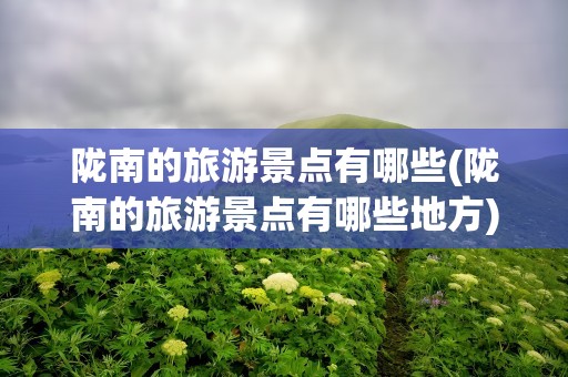 陇南的旅游景点有哪些(陇南的旅游景点有哪些地方)