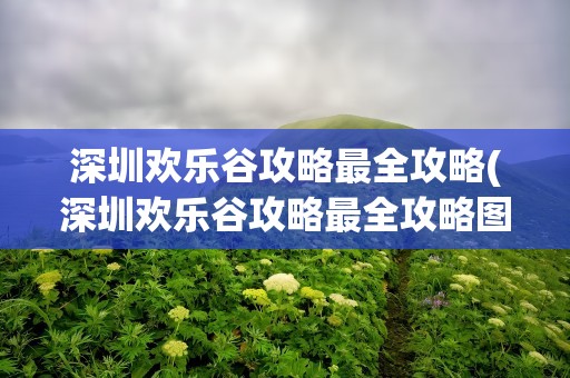 深圳欢乐谷攻略最全攻略(深圳欢乐谷攻略最全攻略图)