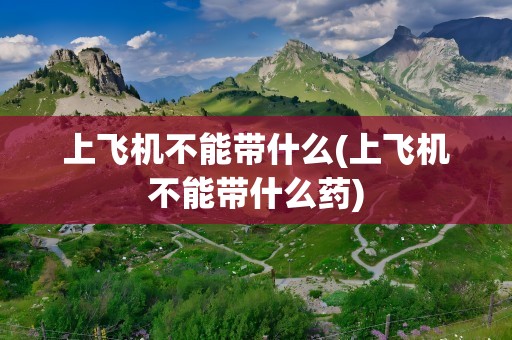 上飞机不能带什么(上飞机不能带什么药)