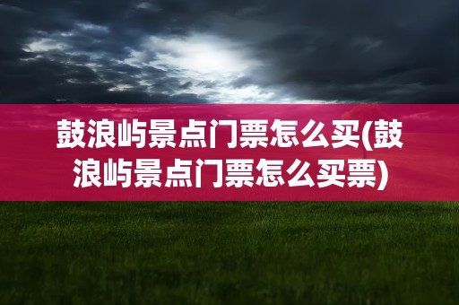 鼓浪屿景点门票怎么买(鼓浪屿景点门票怎么买票)