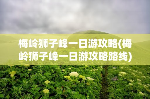 梅岭狮子峰一日游攻略(梅岭狮子峰一日游攻略路线)