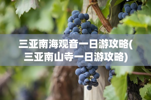 三亚南海观音一日游攻略(三亚南山寺一日游攻略)