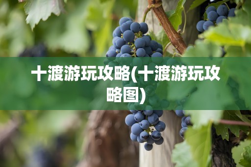 十渡游玩攻略(十渡游玩攻略图)
