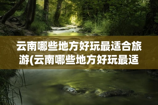 云南哪些地方好玩最适合旅游(云南哪些地方好玩最适合旅游自驾)