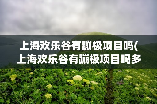 上海欢乐谷有蹦极项目吗(上海欢乐谷有蹦极项目吗多高)