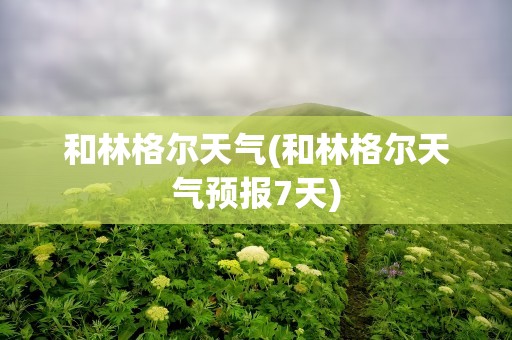 和林格尔天气(和林格尔天气预报7天)