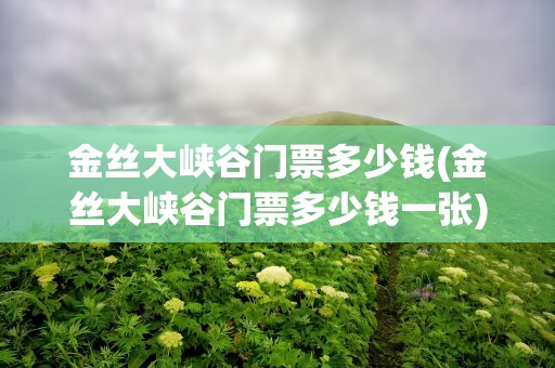 金丝大峡谷门票多少钱(金丝大峡谷门票多少钱一张)