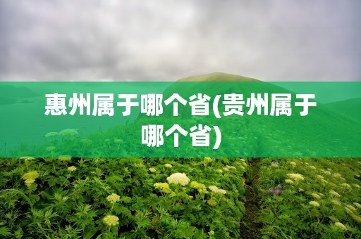 惠州属于哪个省(贵州属于哪个省)