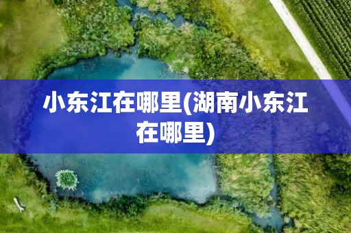 小东江在哪里(湖南小东江在哪里)