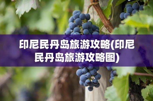 印尼民丹岛旅游攻略(印尼民丹岛旅游攻略图)